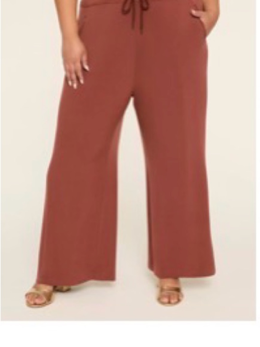 Lane Bryant Wide-Leg Drawstring Pants in Rust Brown